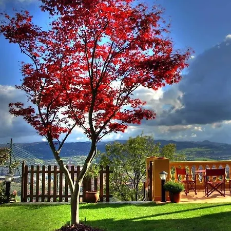 Casa Camila Oviedo