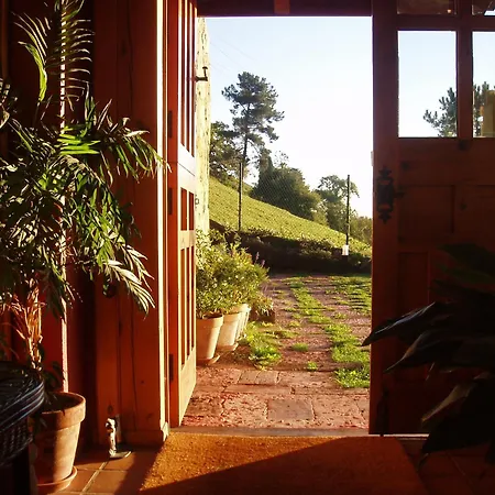 Hotel Casa Camila 3*