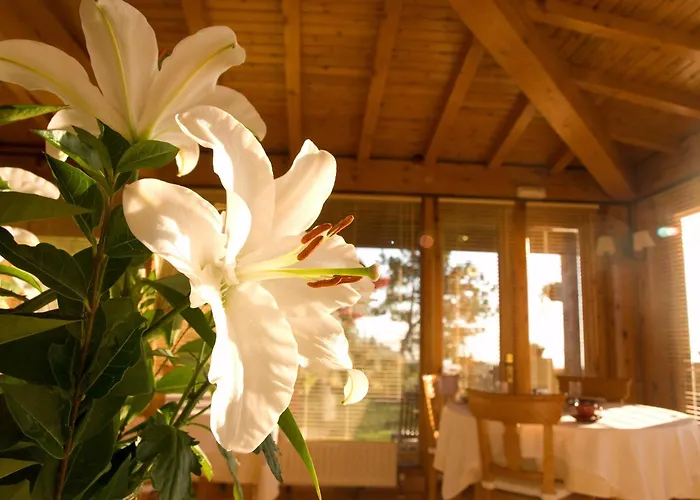 Casa Camila Овьедо