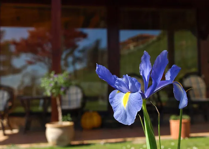 호텔 Casa Camila 3*